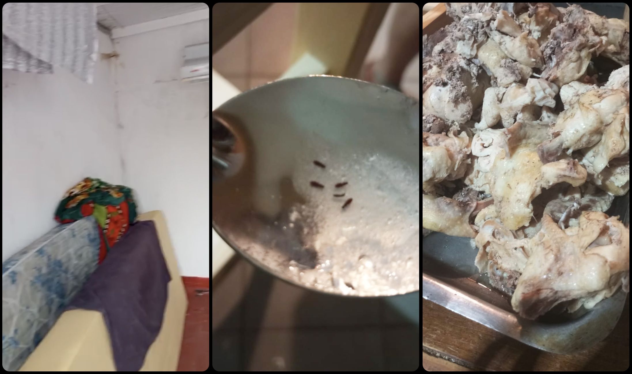 阿根廷足球梦想工厂：青训体系背后的残酷真相
